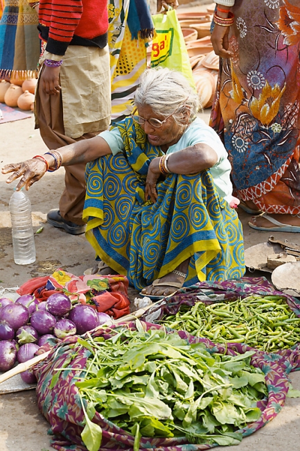 Sur la route d'Orchha-106